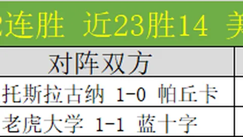 巴西赛场风云再起：16胜13负悬念迭起，主队首秀揭秘，数据之谜待解！