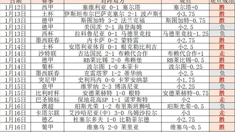 谌龙晋升国青羽毛球队主教练，迈入执教生涯新阶段。